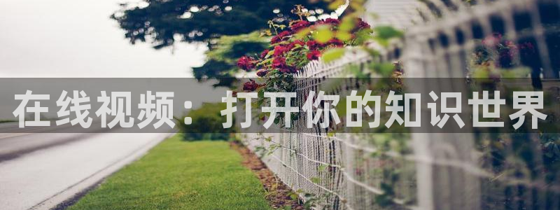 泡泡酒店：在线视频：打开你的知识世界