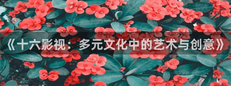 泡泡影视理论片