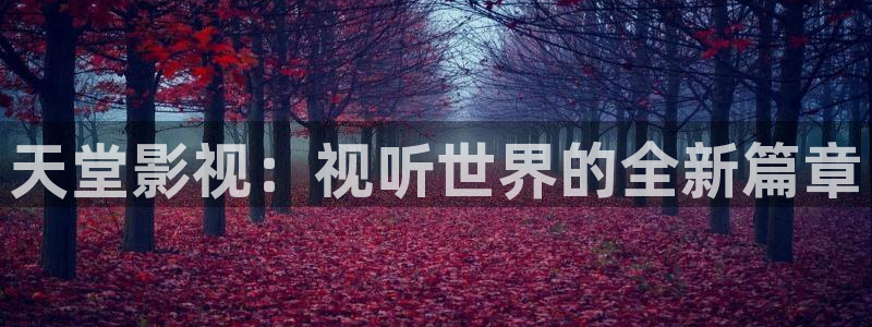 泡泡午夜电影：天堂影视：视听世界的全新篇章